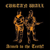 Curta'n Wall - Castle Spire mp3 скачать