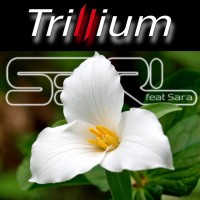 S3Rl feat. Sara - Trillium mp3 скачать