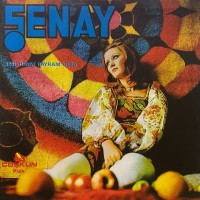 Şenay - Hayat Bayram Olsa mp3 скачать